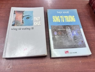 SÓNG TỪ TRƯỜNG - THUỴ KHUÊ
