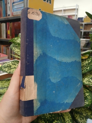 VIỆT NAM NGHĨA LIỆT SỬ - ĐẶNG ĐOÀN BẰNG