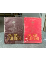 ĐẠO MẪU Ở VIỆT NAM - NGÔ ĐỨC THỊNH