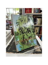 BÊN SÔNG VÀM CỎ - NGUYỄN THỊ LONG AN