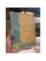 LỖ BÌNH SƠN TRÊN HOANG ĐẢO - R. L. Stevenson (Bản dịch của Lưu Bằng)