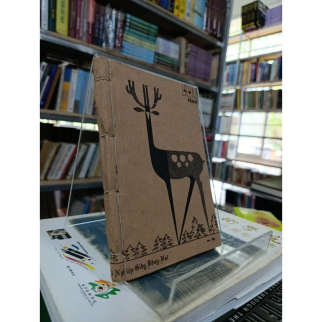 ÁNH ĐẠO VÀNG - VÕ ĐÌNH CƯỜNG 