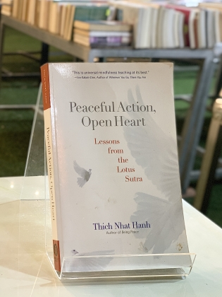 PEACEFUL ACTION, OPEN HEART (HÀNH ĐỘNG AN BÌNH, TRÁI TIM RỘNG MỞ) - THÍCH NHẤT HẠNH