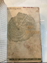 TƠ VƯƠNG - NGUYỄN CÔNG HOAN