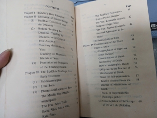 THE BUDDHA'S TEACHINGS ON LIBERATION (GIÁO LÝ CỦA ĐỨC PHẬT VỀ SỰ GIẢI THOÁT) - U BA HTAY
