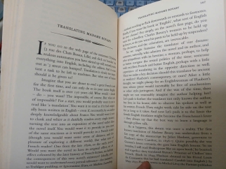 THROUGH THE WINDOW (QUA CỬA SỔ) - JULIAN BARNES