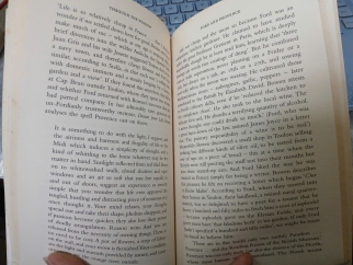 THROUGH THE WINDOW (QUA CỬA SỔ) - JULIAN BARNES