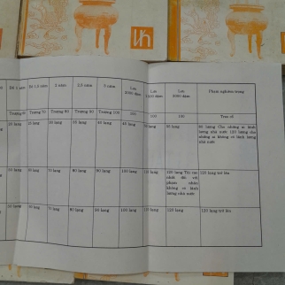 HOÀNG VIỆT LUẬT LỆ ( LUẬT GIA LONG) - NGUYỄN VĂN THÀNH, VŨ TRINH, TRẦN HỰU