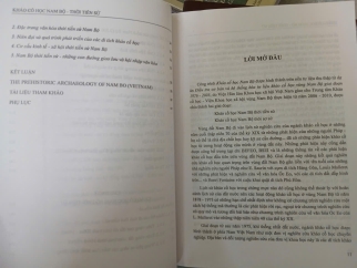 KHẢO CỔ HỌC NAM BỘ - BÙI CHÍ HOÀNG