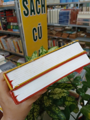 ĐẠO MẪU VIỆT NAM (TRỌN BỘ 2 TẬP BÌA CỨNG) - NGÔ ĐỨC THỊNH