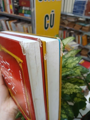 ĐẠO MẪU VIỆT NAM (TRỌN BỘ 2 TẬP BÌA CỨNG) - NGÔ ĐỨC THỊNH