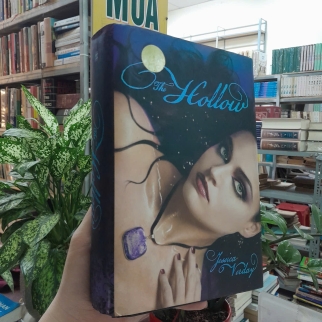 THE HOLLOW (BÌA CỨNG) - FESSICA VERDAY