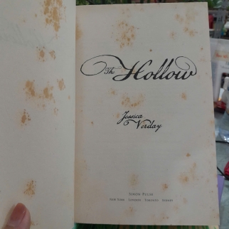 THE HOLLOW (BÌA CỨNG) - FESSICA VERDAY
