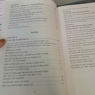 TIẾP CẬN MỘT SỐ VẤN ĐỀ VĂN HÓA CHAMPA - SAKAYA