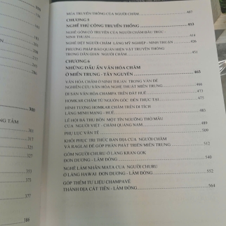 TIẾP CẬN MỘT SỐ VẤN ĐỀ VĂN HÓA CHAMPA - SAKAYA