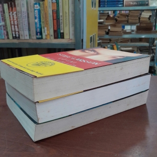 CÔ GÁI CÓ HÌNH XĂM RỒNG, CÔ GÁI CHỌC TỔ ONG BẦU, CÔ GÁI ĐÙA VỚI LỬA - STIEG LARSSON (TRẦN ĐĨNH DỊCH)