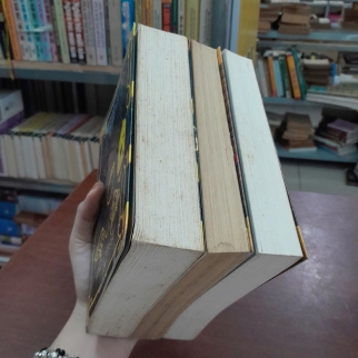 SEPTIMUS HEAP: PHÁP THUẬT, KHINH CÔNG, Y THUẬT - ANGIE SAGE ( HƯƠNG LAN DỊCH)