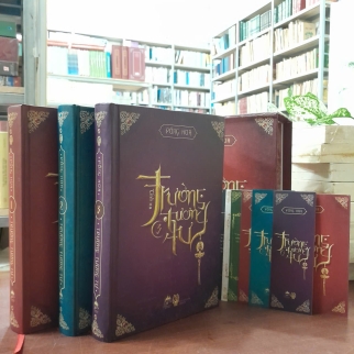 TRƯỜNG TƯƠNG TƯ - ĐỒNG HOA ( LƯƠNG HIỀN DỊCH) (BÌA CỨNG)