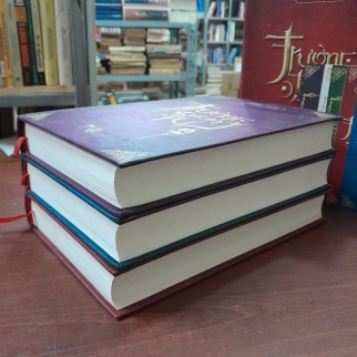 TRƯỜNG TƯƠNG TƯ - ĐỒNG HOA ( LƯƠNG HIỀN DỊCH) (BÌA CỨNG)