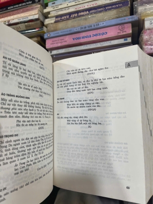 TỪ ĐIỂN VĂN HỌC QUỐC ÂM - NGUYỄN THẠCH GIANG