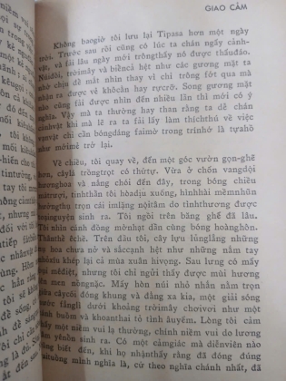 GIAO CẢM - ALBERT CAMUS (Trần Thiện Đạo phiên dịch)