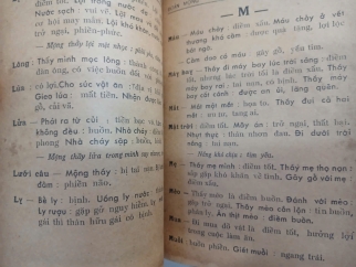 ĐOÁN MỘNG - TRƯƠNG VIỆT