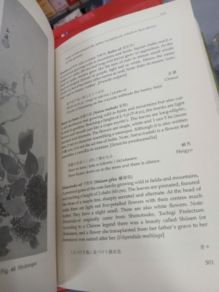 CHADO: THE WAY OF TEA (TRÀ ĐẠO: CON ĐƯỜNG CỦA TRÀ) - SASAKI SANMI