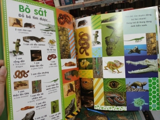 TỪ ĐIỂN BẰNG HÌNH CHO TRẺ MẦM NON: TRỐN TÌM ĐỘNG VẬT - TRẦN ÁNH TUYẾT