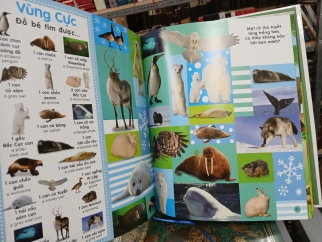 TỪ ĐIỂN BẰNG HÌNH CHO TRẺ MẦM NON: TRỐN TÌM ĐỘNG VẬT - TRẦN ÁNH TUYẾT