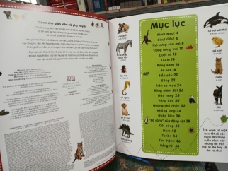 TỪ ĐIỂN BẰNG HÌNH CHO TRẺ MẦM NON: TRỐN TÌM ĐỘNG VẬT - TRẦN ÁNH TUYẾT