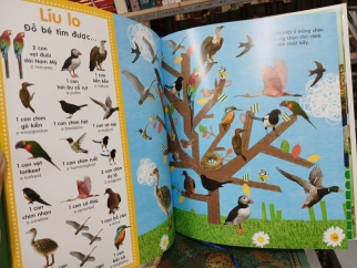 TỪ ĐIỂN BẰNG HÌNH CHO TRẺ MẦM NON: TRỐN TÌM ĐỘNG VẬT - TRẦN ÁNH TUYẾT