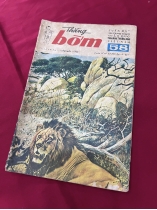 THẰNG BỜM -  NGUYỄN VỸ 