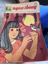 NGÀN THÔNG - VI VI 