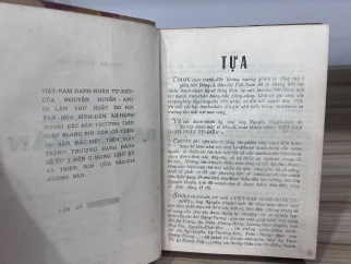 Việt Nam danh nhân tự điển - Nguyễn Huyền Anh
