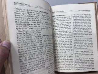 Việt Nam danh nhân tự điển - Nguyễn Huyền Anh