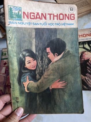 NGÀN THÔNG - VI VI 