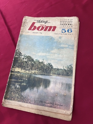 THẰNG BỜM -  NGUYỄN VỸ 