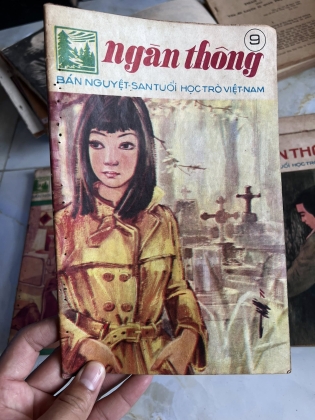 NGÀN THÔNG - VI VI 