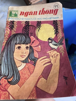 NGÀN THÔNG - VI VI 