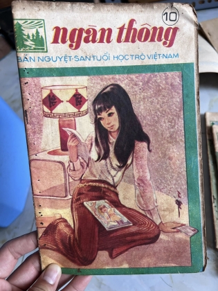 NGÀN THÔNG - VI VI 