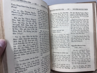 Việt Nam danh nhân tự điển - Nguyễn Huyền Anh
