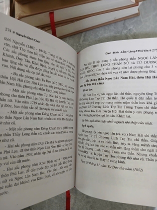 ĐÌNH - MIẾU - LẪM - LĂNG Ở PHÚ YÊN (BÌA CỨNG) - NGUYỄN ĐÌNH CHÚC