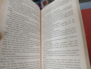 HARRY POTTER AND THE DEATHLY HALLOWS (HARRY POTTER VÀ BẢO BỐI TỬ THẦN) - J. K. ROWLING