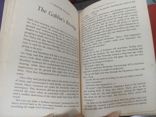 HARRY POTTER AND THE DEATHLY HALLOWS (HARRY POTTER VÀ BẢO BỐI TỬ THẦN) - J. K. ROWLING