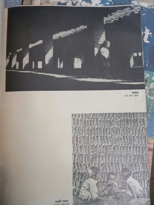 ẢNH NGHỆ THUẬT HÌNH ẢNH QUÊ HƯƠNG VIỆT NAM - LÊ VĂN KHOA