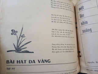 MÙA XUÂN BẢNG ĐEN VÀ PHẤN TRẮNG