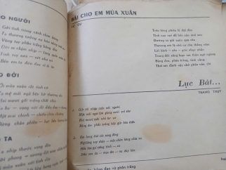 MÙA XUÂN BẢNG ĐEN VÀ PHẤN TRẮNG