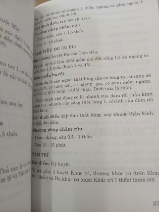 HUYỆT CHÂM CỨU TRONG THẦN KINH HỌC - HỒ HỮU LƯƠNG