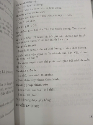 HUYỆT CHÂM CỨU TRONG THẦN KINH HỌC - HỒ HỮU LƯƠNG