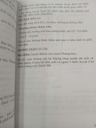 HUYỆT CHÂM CỨU TRONG THẦN KINH HỌC - HỒ HỮU LƯƠNG